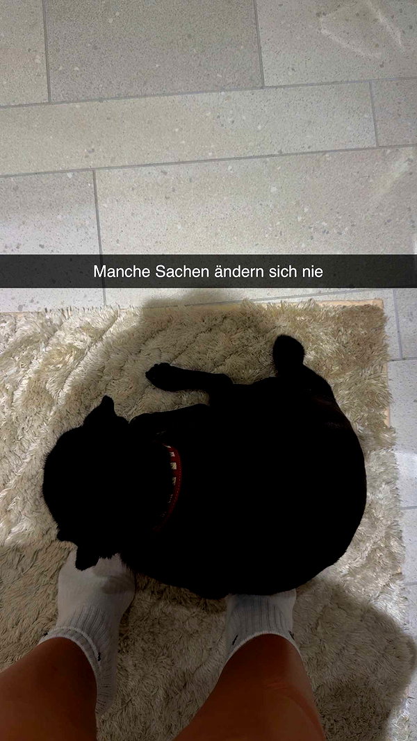 alexissshv snapchat image archive image