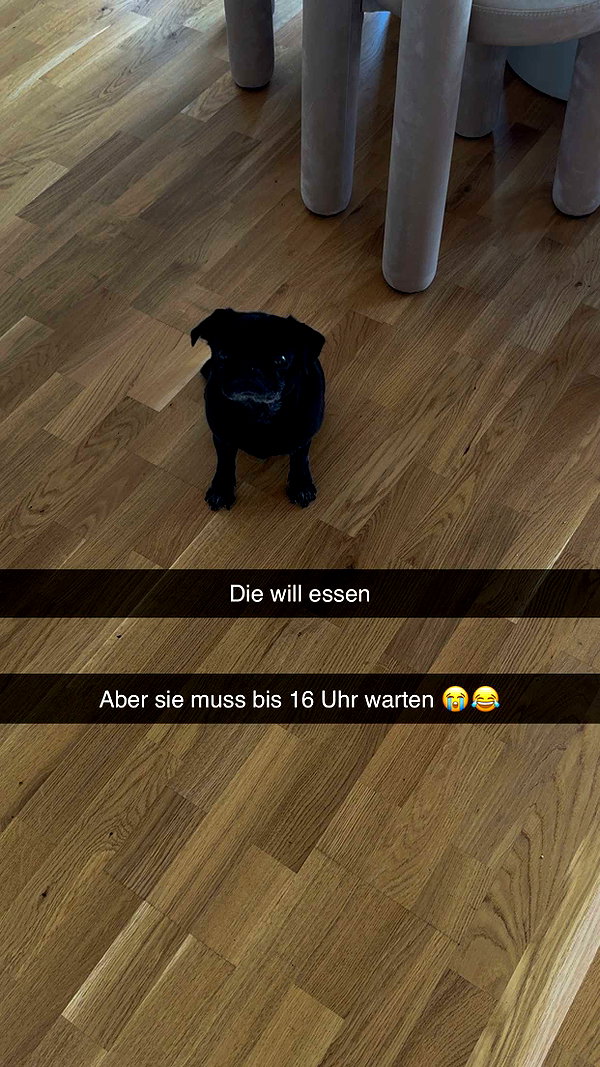 alexissshv snapchat image archive image