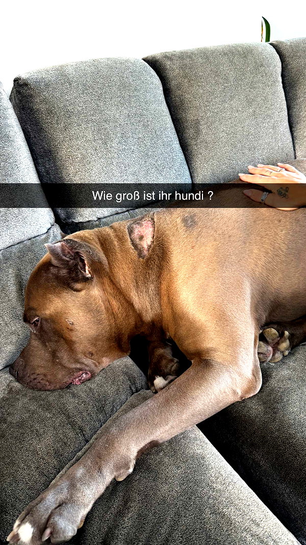 alexissshv snapchat image archive image