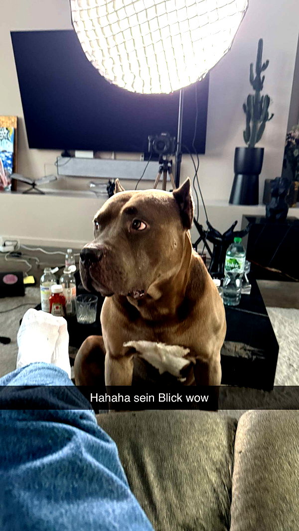 alexissshv snapchat image archive image