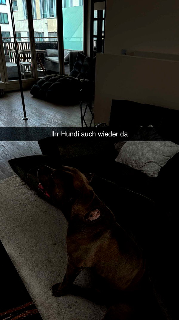 alexissshv snapchat image archive image