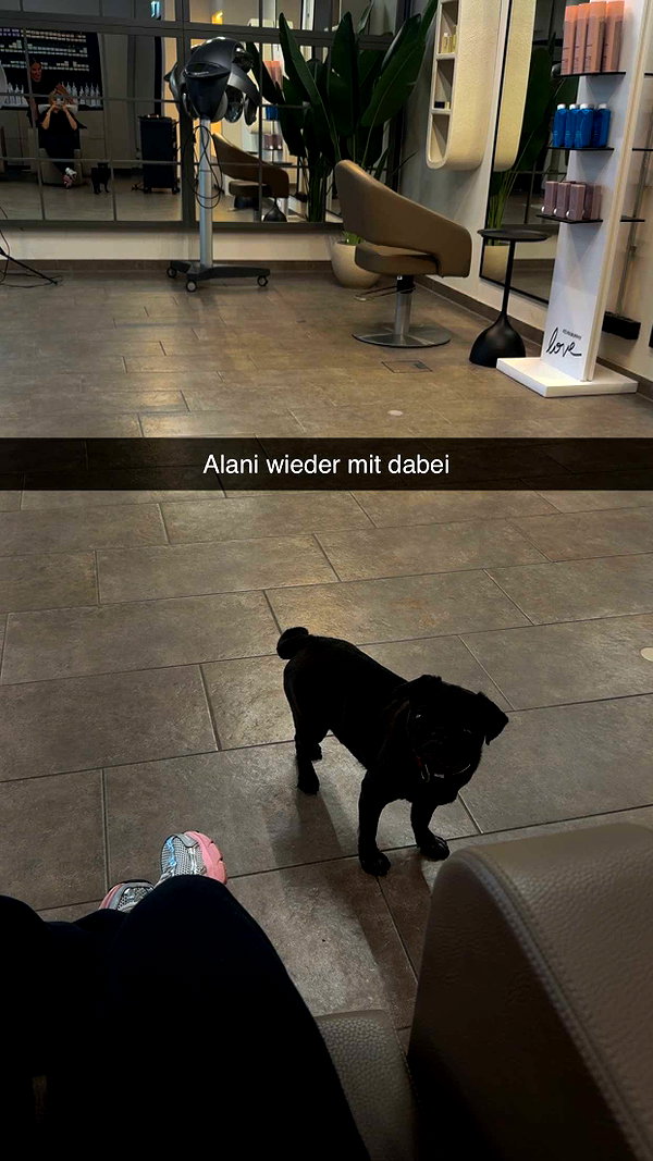 alexissshv snapchat image archive image