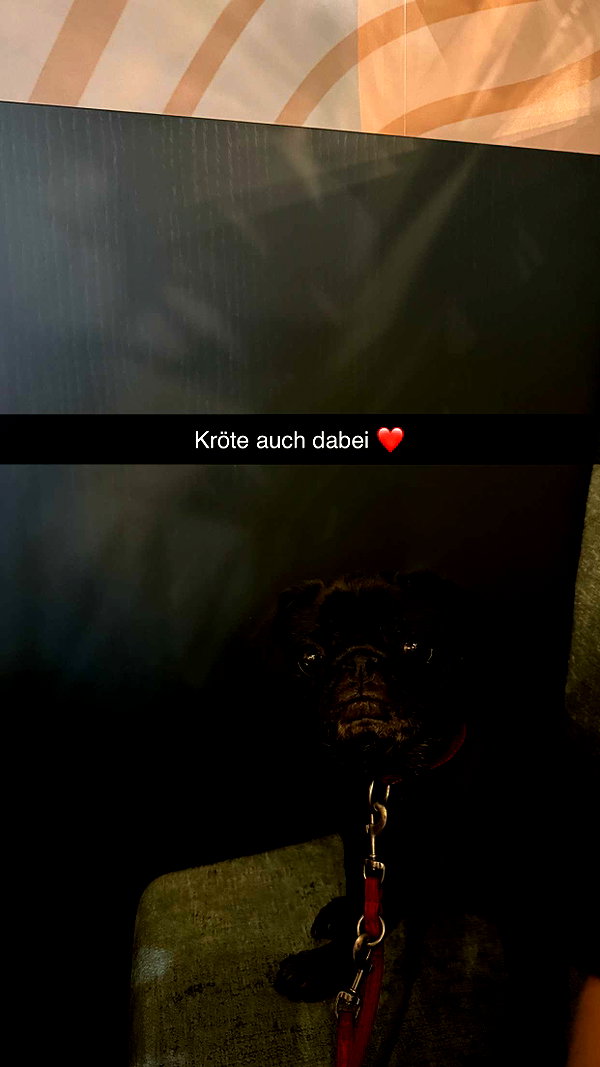 alexissshv snapchat image archive image