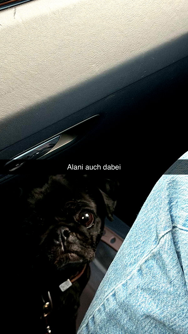 alexissshv snapchat image archive image