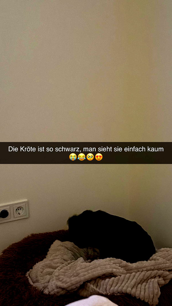 alexissshv snapchat image archive image