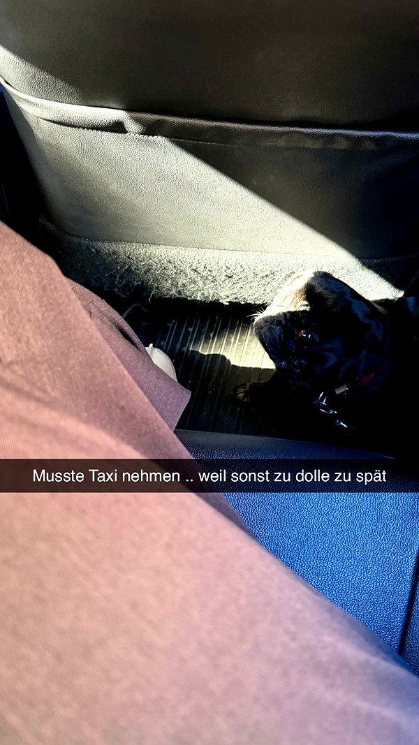 alexissshv snapchat image archive image
