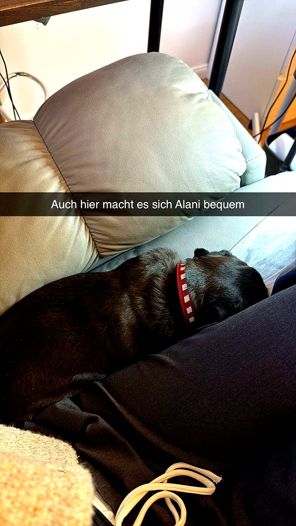 alexissshv snapchat image archive image