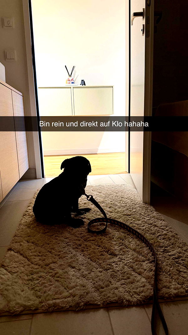 alexissshv snapchat image archive image