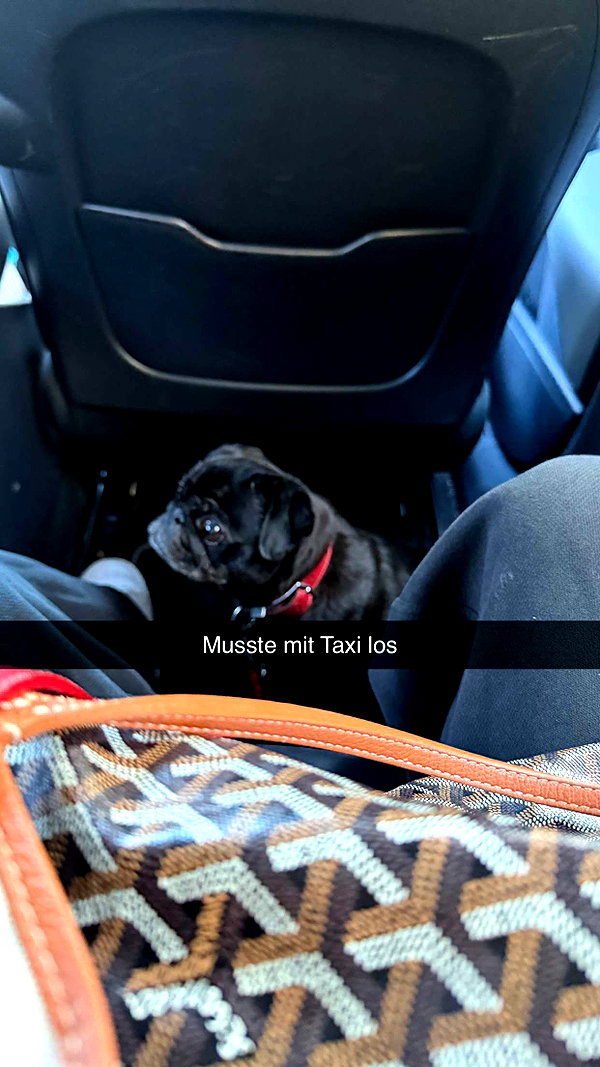 alexissshv snapchat image archive image