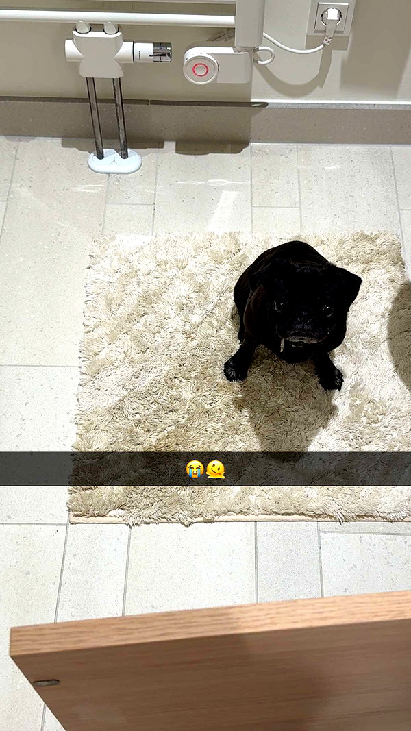 alexissshv snapchat image archive image