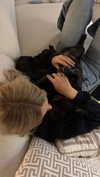 alexissshv Altpins Profile Picture