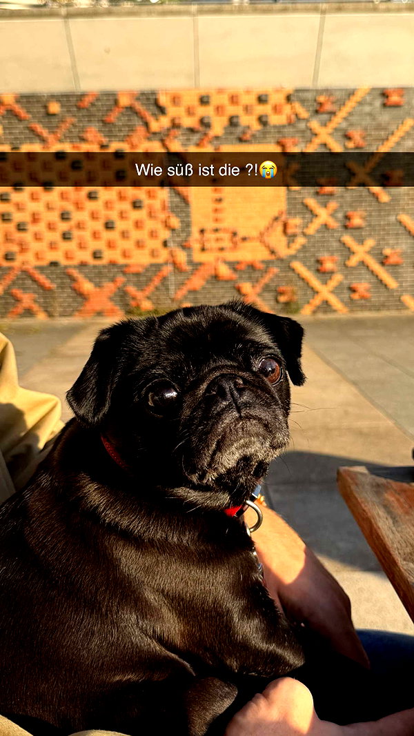 alexissshv snapchat image archive image