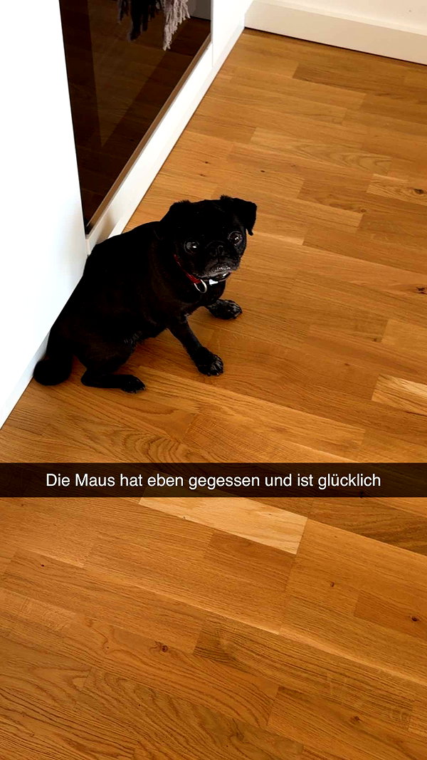 alexissshv snapchat image archive image