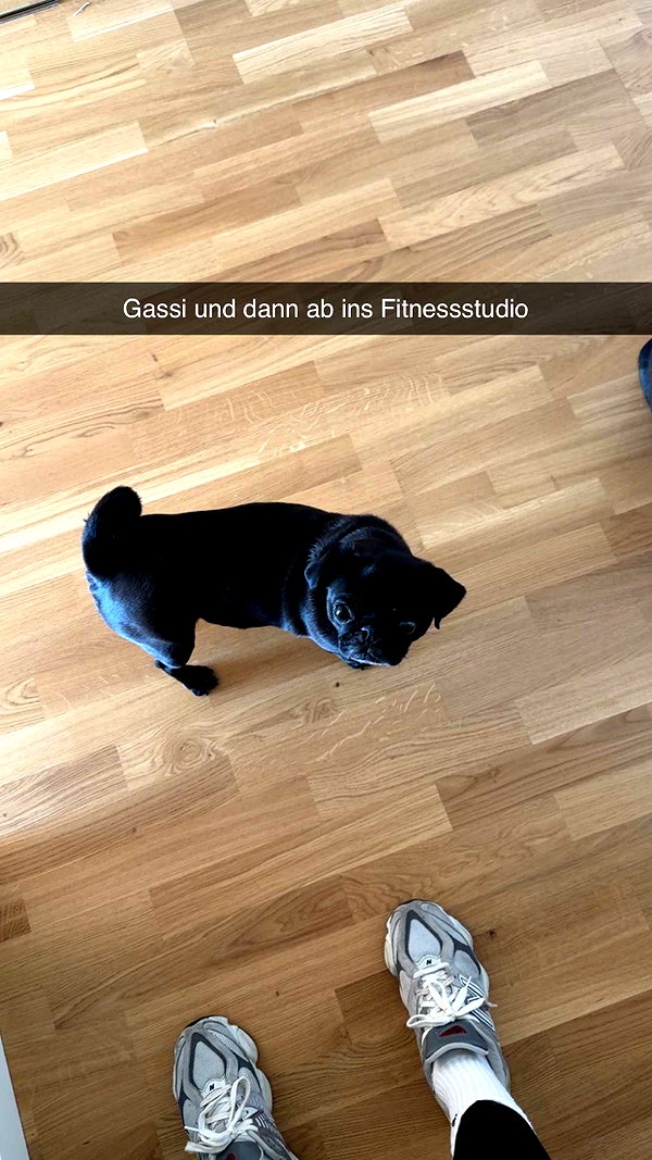 alexissshv snapchat image archive image