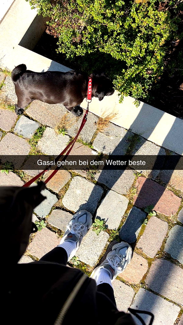 alexissshv snapchat image archive image