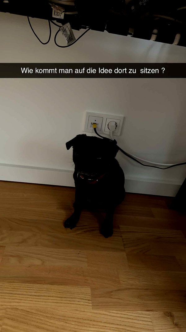 alexissshv snapchat image archive image