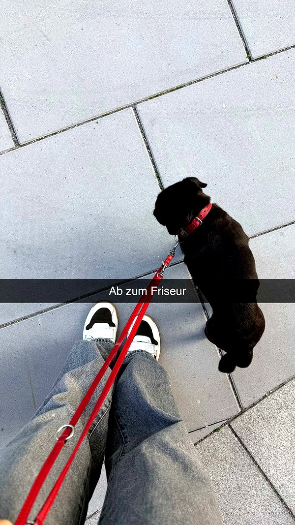 alexissshv snapchat image archive image