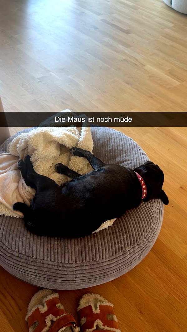 alexissshv snapchat image archive image