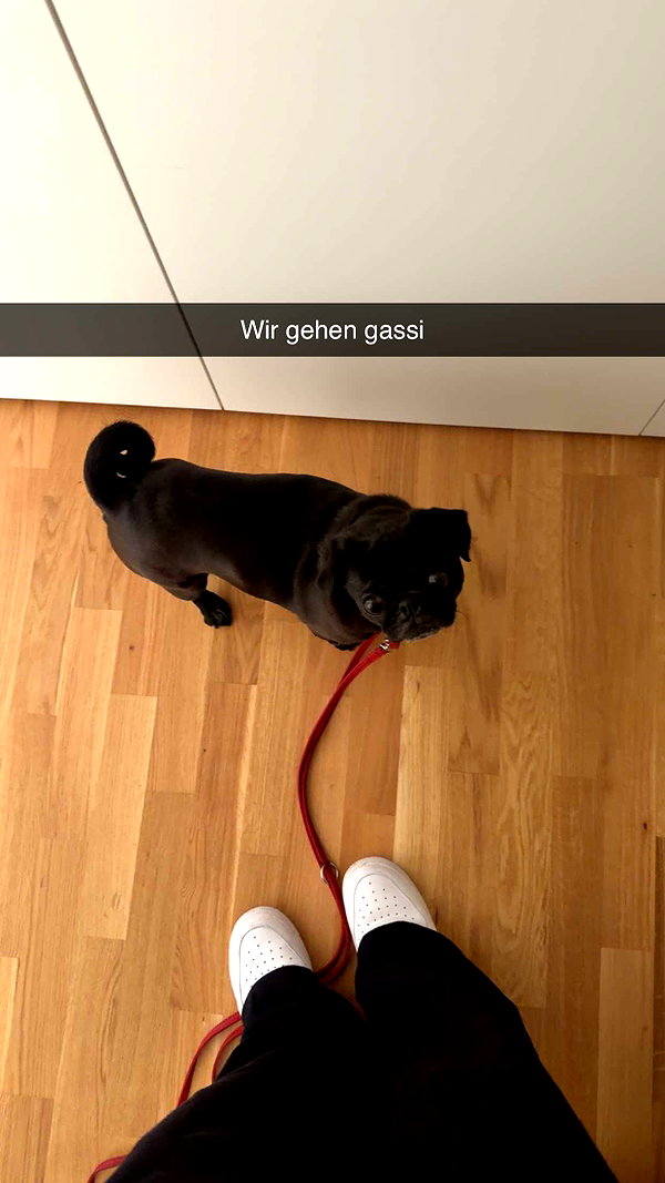 alexissshv snapchat image archive image