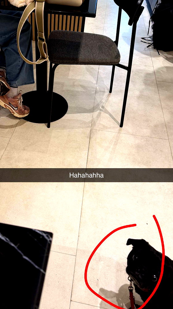 alexissshv snapchat image archive image