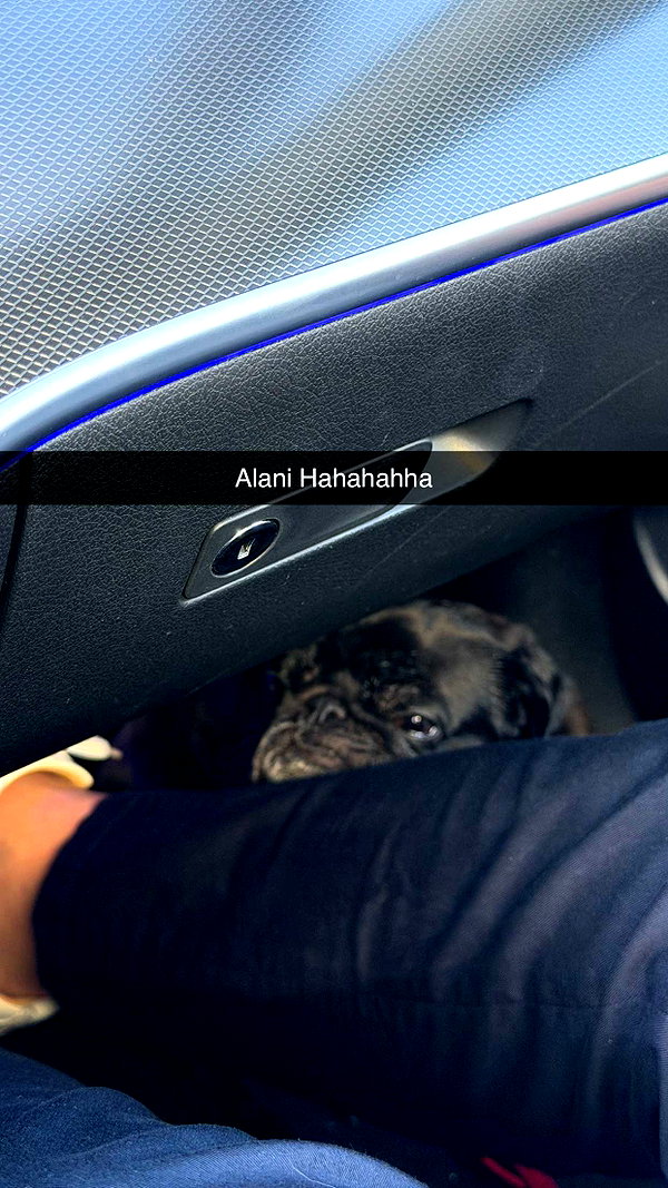alexissshv snapchat image archive image