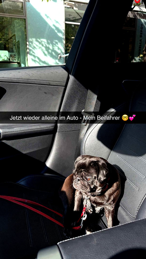 alexissshv snapchat image archive image