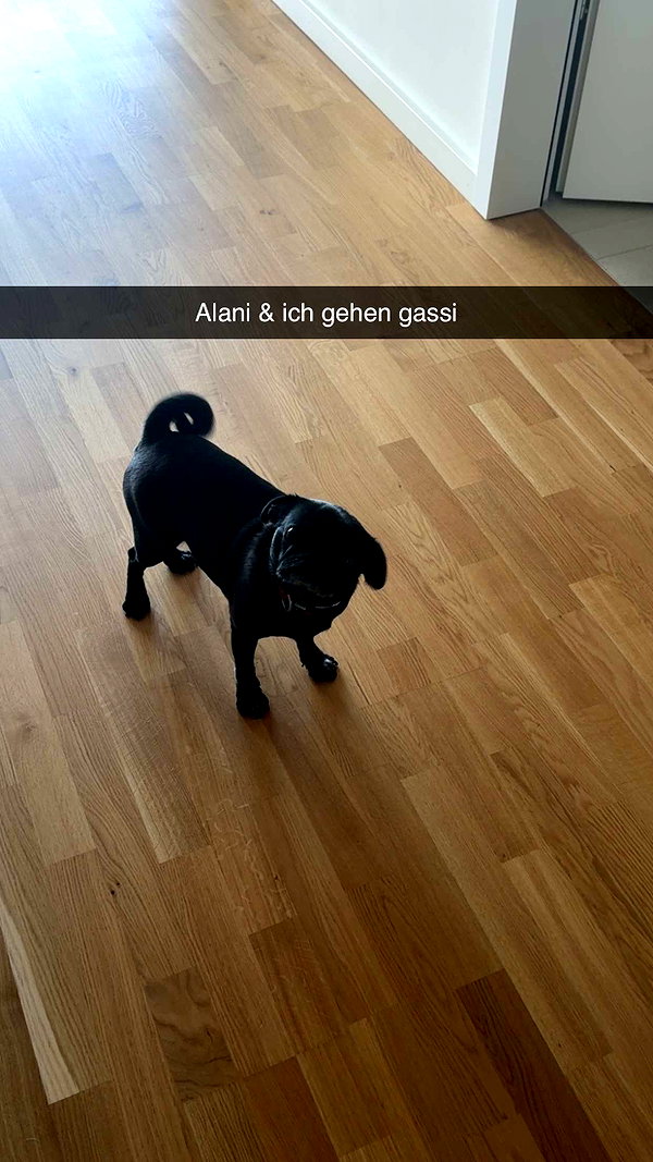 alexissshv snapchat image archive image