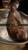 alexissshv Altpins Profile Picture