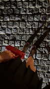alexissshv Altpins Profile Picture
