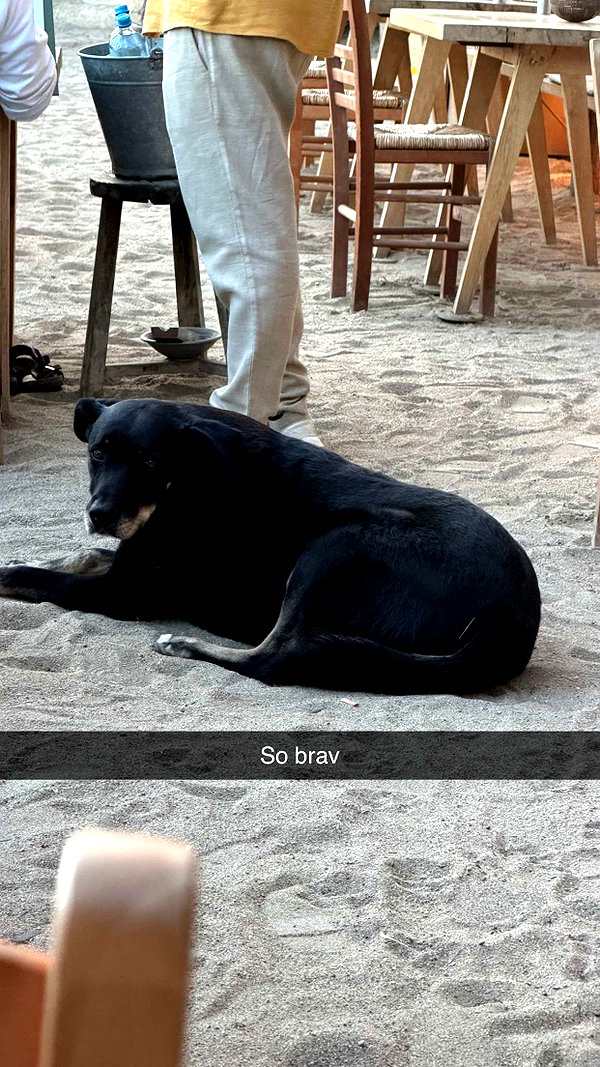 alexissshv snapchat image archive image