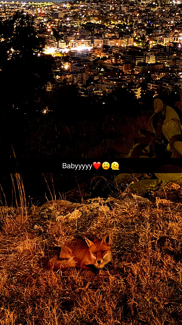 alexissshv snapchat image archive image