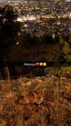 alexissshv Altpins Profile Picture