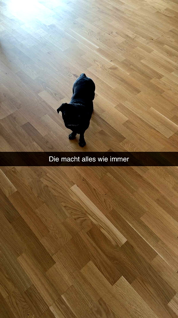 alexissshv snapchat image archive image