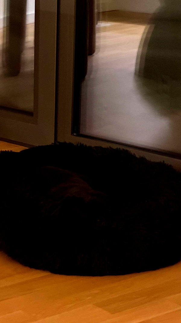 alexissshv snapchat image archive image