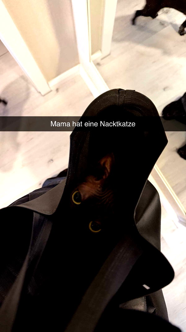 alexissshv snapchat image archive image