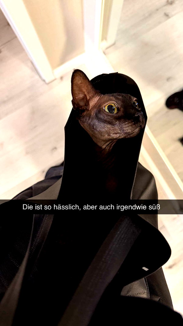 alexissshv snapchat image archive image