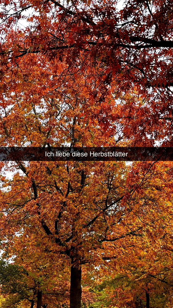 alexissshv snapchat image archive image