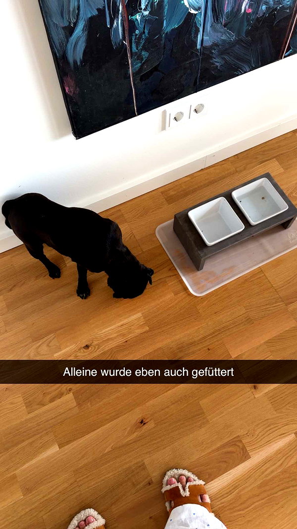 alexissshv snapchat image archive image