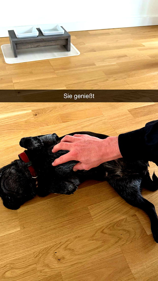 alexissshv snapchat image archive image