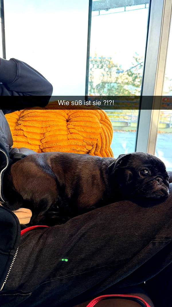 alexissshv snapchat image archive image