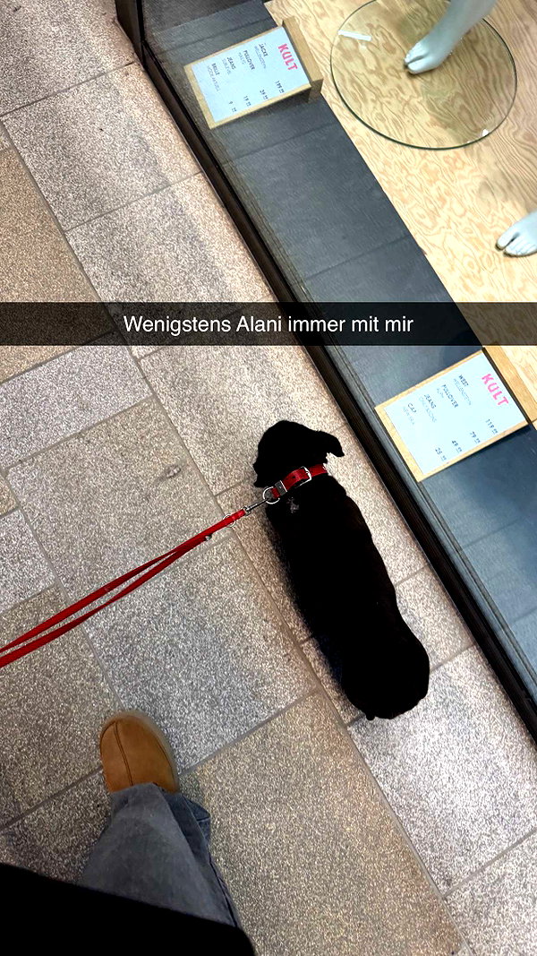 alexissshv snapchat image archive image