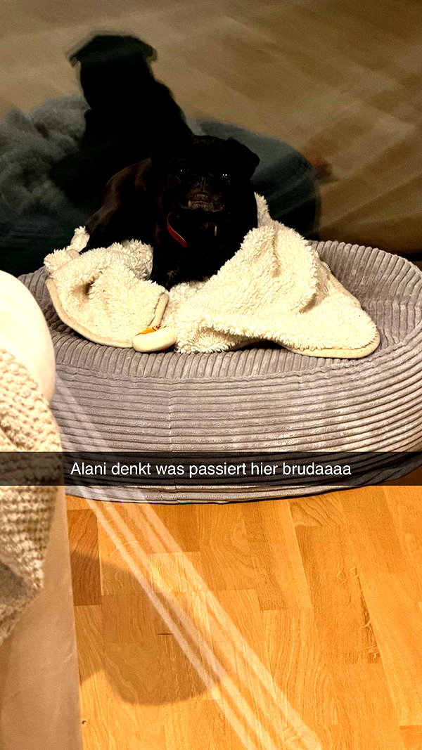 alexissshv snapchat image archive image