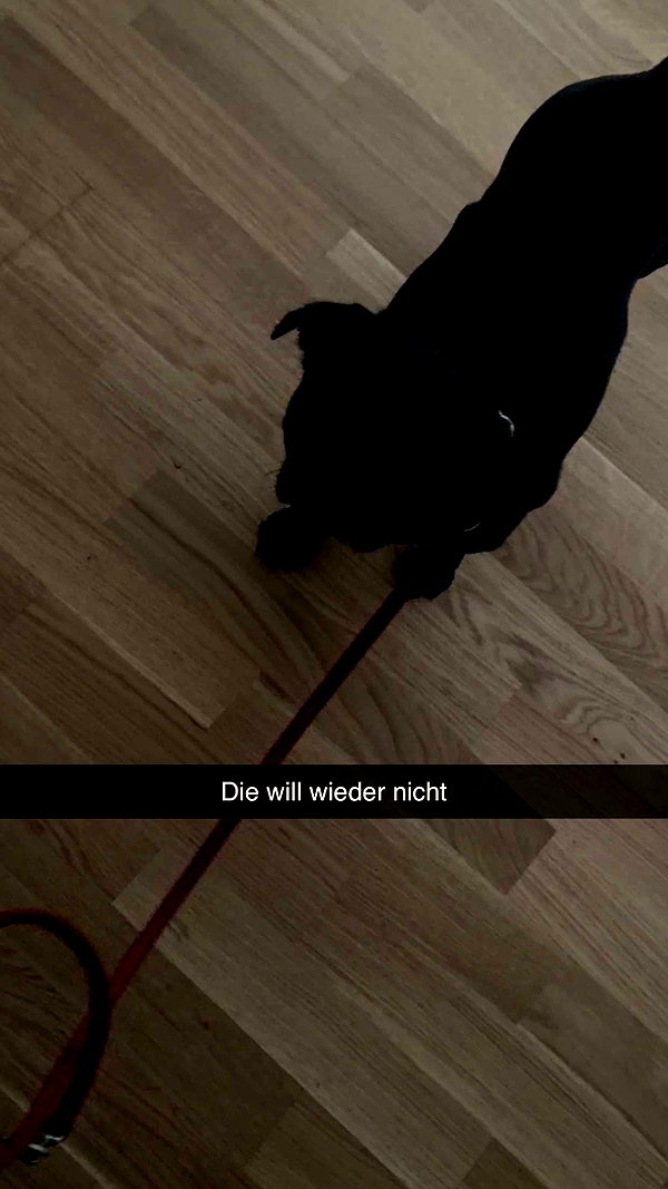 alexissshv snapchat image archive image