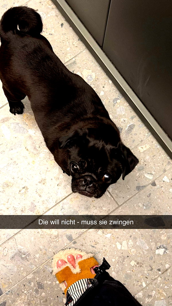 alexissshv snapchat image archive image