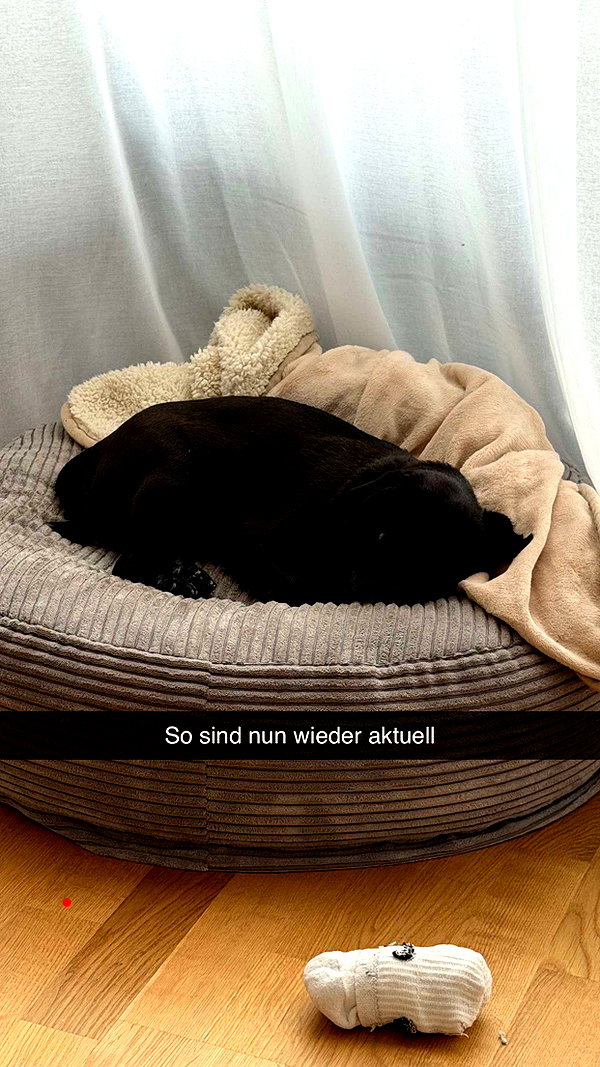 alexissshv snapchat image archive image