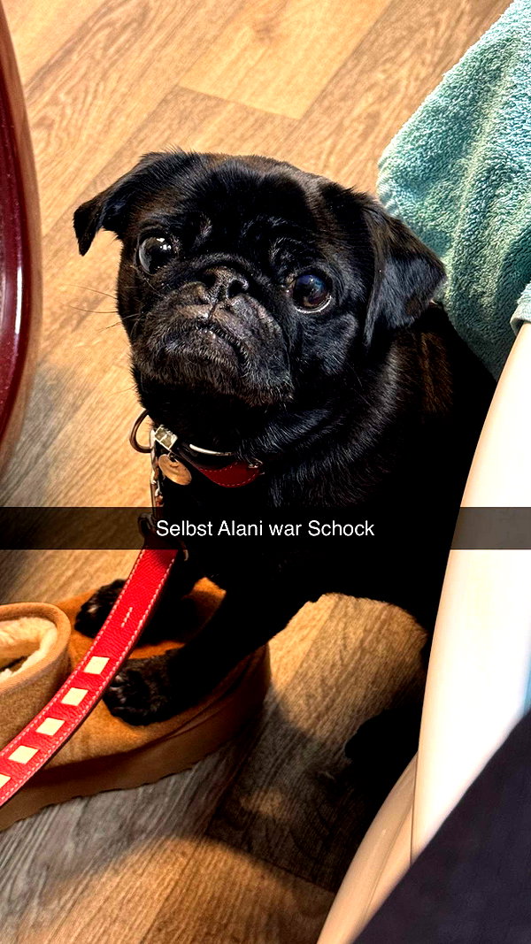 alexissshv snapchat image archive image