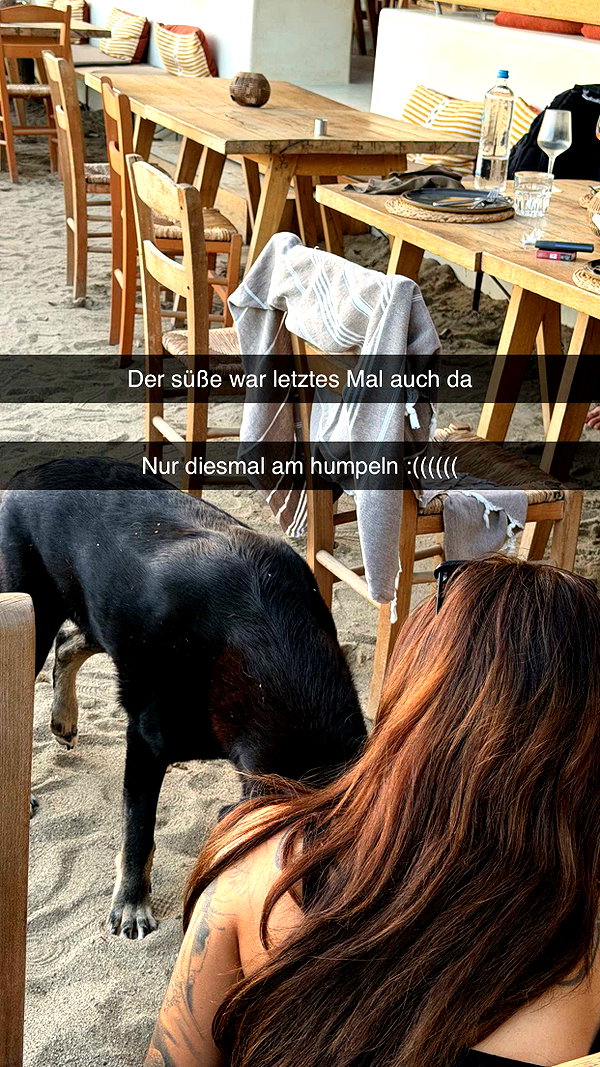 alexissshv snapchat image archive image