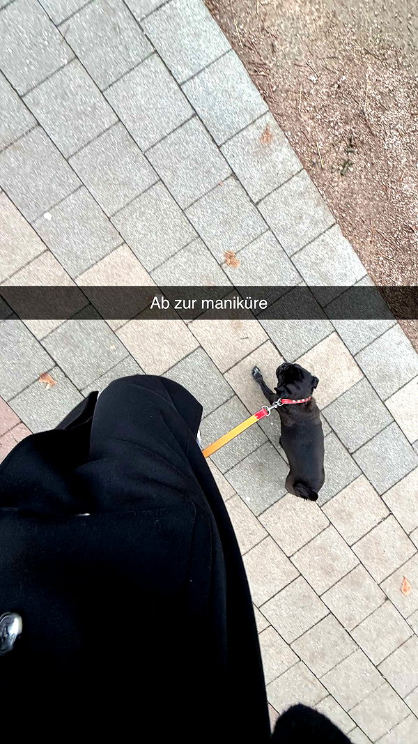 alexissshv snapchat image archive image