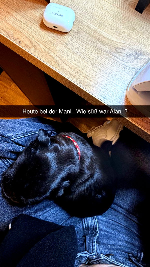 alexissshv snapchat image archive image