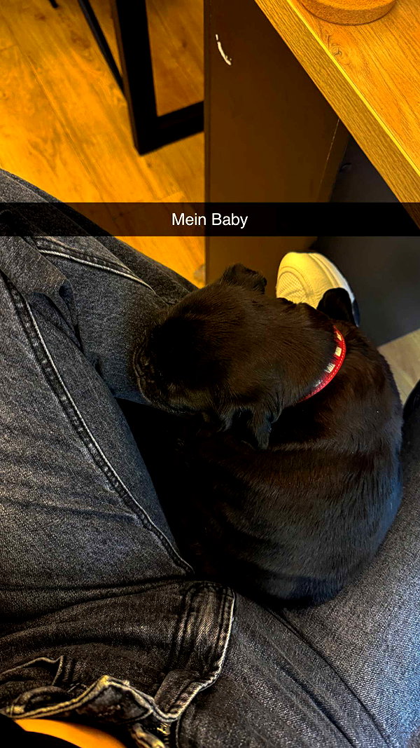 alexissshv snapchat image archive image